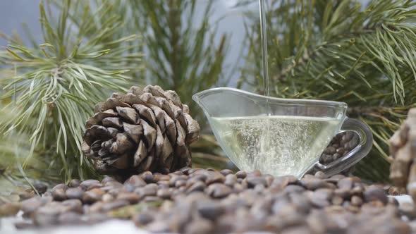 Cedar Nut Oil Is Poured Into a Glass Carnival Standing in a Heap of Pine Nuts Cedar Cones and Green