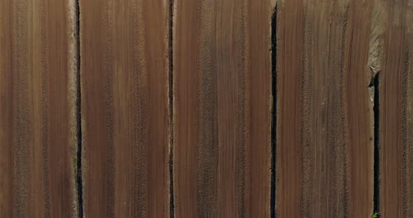 Peat Production Field Drained Bog Landscape Top Down Aerial View alt