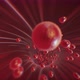 Red tunnel loop with particles flow - VideoHive Item for Sale