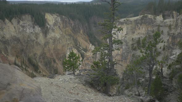 Canyon Village Area at Yellowstone National Park alt
