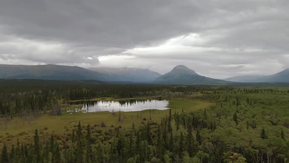 Peaceful View of Pond and Marshland Surrounded By Forest and Mountains alt