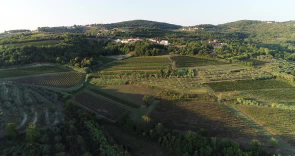 Aerial view of beautiful countryside at sunset with vineyard, Croatia. alt