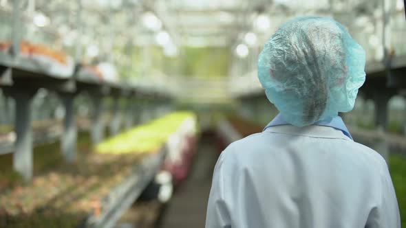 Woman Scientist in Protective Uniform Standing in Greenhouse Back View, Research