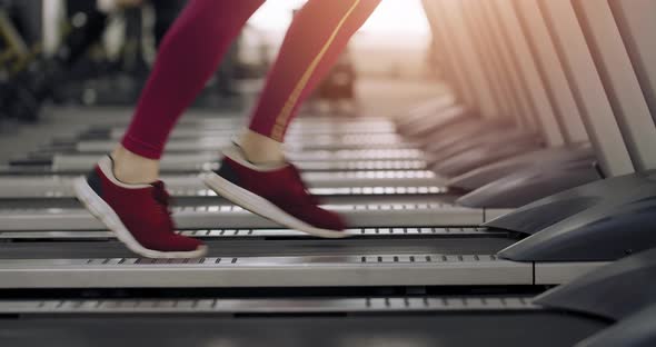 Runner at the Treadmill