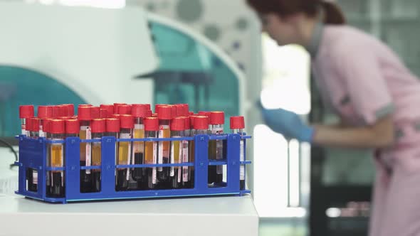 Blood Samples in Test Tubes on the Foreground Copy Space on the Side alt