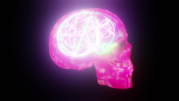 Purple Pink Skull With Neon Brain Background HD alt