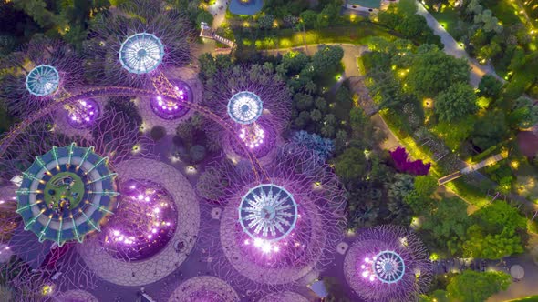 Top view Singapore  Super tree Grove in the Garden by the Bay at night. alt
