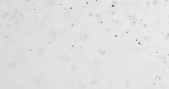 Small Bubbles Rising In Water Against White Background alt