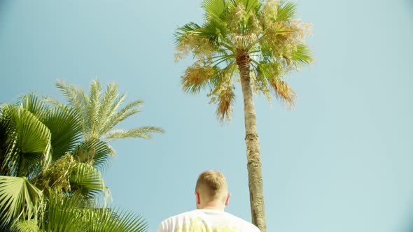 a Man is Studying the Surroundings Against the Background of a Palm and an Endless Blue Sky alt