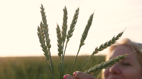 wheat field on a summer day. positive caucasian blonde woman holding ears of wheat in her alt