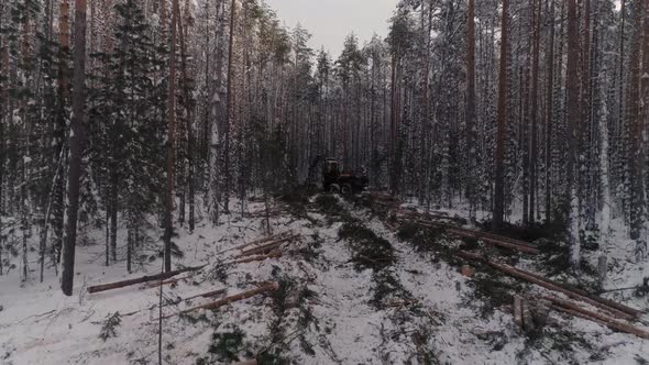 Aerial Drone view of Forest harvester logging a tree in winter forest 31 alt