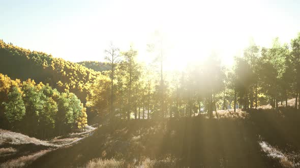Valley with Autumn Trees Among the Mountains Lit By the Sun at Sunset alt