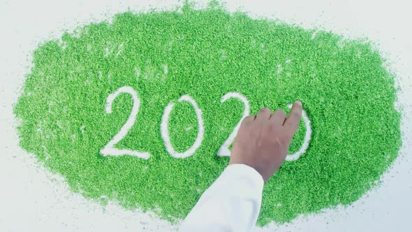 Indian Hand Writes On Green 2020