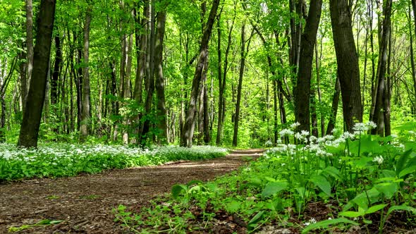 Light and shadow. alt