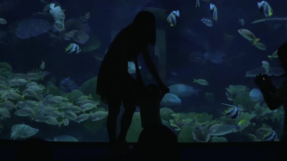 A Man Photographs a Young Woman in the Oceanarium alt