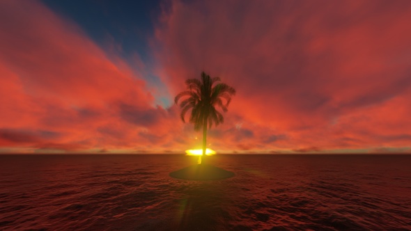 A Lone Palm Tree On A Piece Of Sand In The Ocean 4 alt