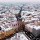 Prague snow fly