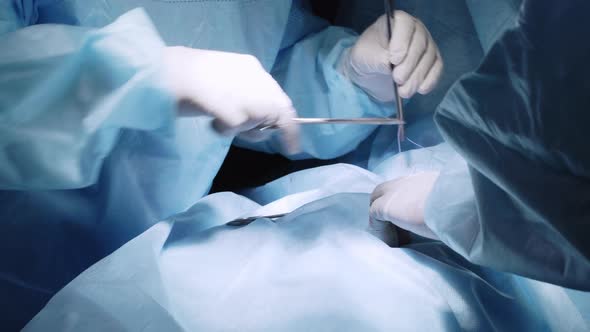 Surgeon's hands with tools during incision stitch