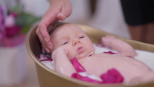 Charming Little Baby Girl Moving Hands and Legs Lying in White Milk Water with Mother Hands Putting alt