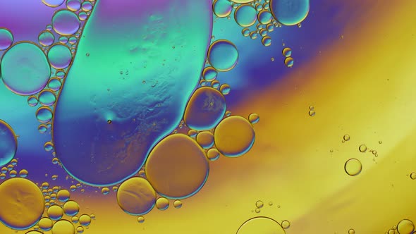 Abstract Colorful Food Oil Drops Bubbles 261 alt
