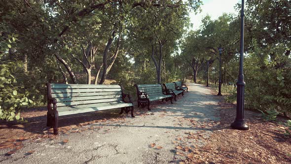 Empty Benches at Public Park During Curfew Cause of Corona Virus Quarantine alt