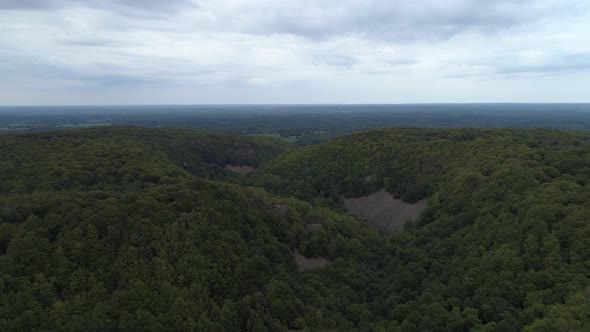 Aerial View of Forest and Mountain Landscape