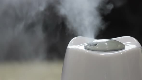 Electric Humidifier Works in the Room and Produces