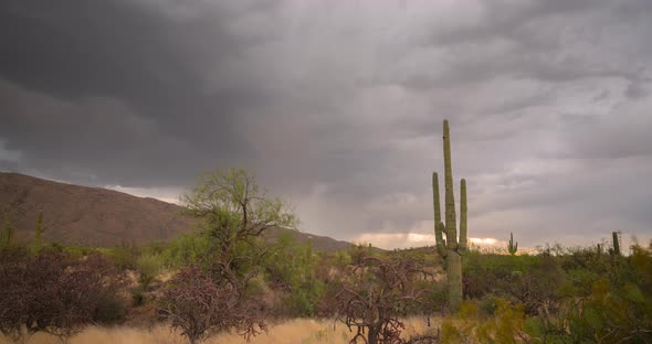 Saguaro National Park, Tucson Arizona. Beautiful Timelapse with dramatic storm clouds at sunset alt