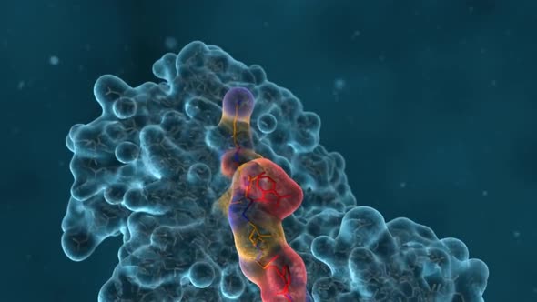 DNA mutation, a mutation is a change in a DNA sequence, alt