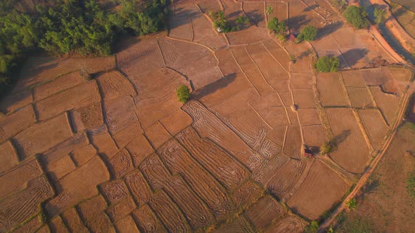 Aerial view of farmers farmland in dry season. beautiful scenery in the morning alt