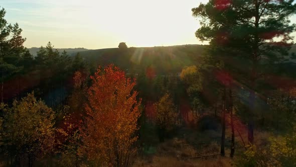 Aerial Drone Footage. Flying Through the Forest To the Solar Station Farm at Autumn