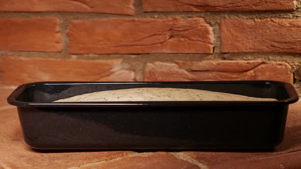 Timelapse of leavening the bread dough