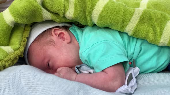 Newborn Baby Lying on the Grass in the Park in Summer at Sunset, Slow Motion alt