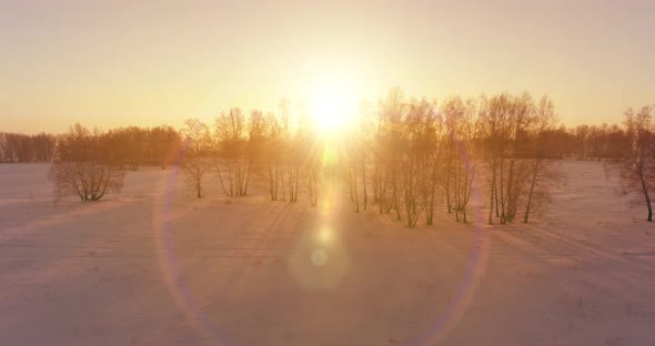 Aerial Drone View of Cold Winter Landscape with Arctic Field, Trees Covered with Frost Snow and alt