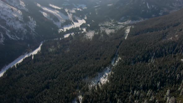 Scenic Aerial Broll with Wild Mountains Woods and Peak Range in Winter Day