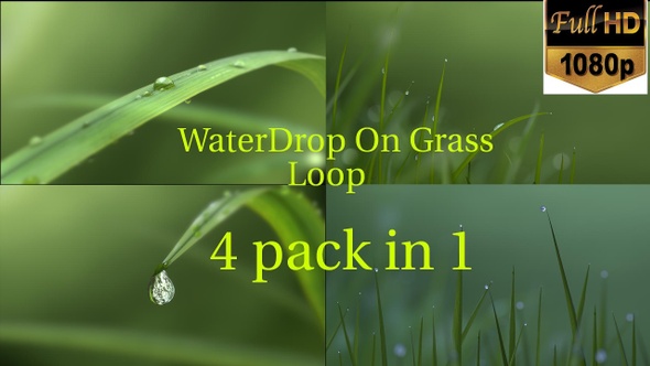 WaterDrop on Grass Loop 4 Pack in 1