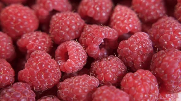 Close Up Rotation Loopable Raspberry