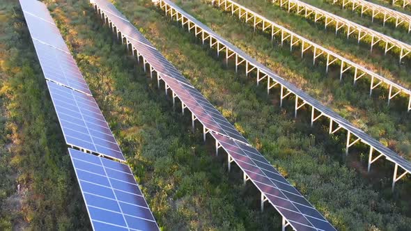 Drone flying over exspanse of solar panels in the field. renewable energy,Italy alt
