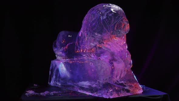 Big Block of Ice Carved in a Shape of a Lion Under Purple Lighting alt