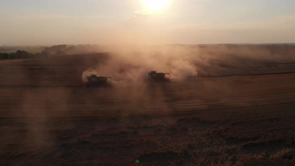 Aerial shot: flying around combines harvesting an summer sunset