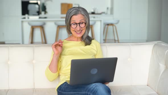 Cheerful Confident Senior Woman Using Laptop for Video Connection Remote Meeting alt