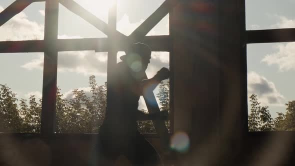 Boxer Training in Abandoned Factory alt