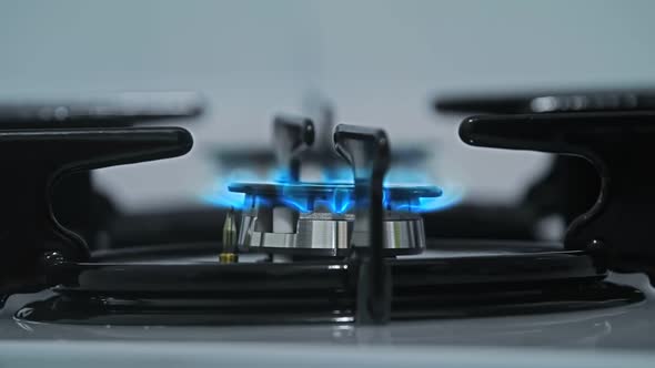 Gas Stove
