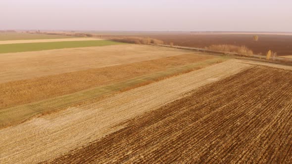 Rural Landscape with Large Field After Harvest alt