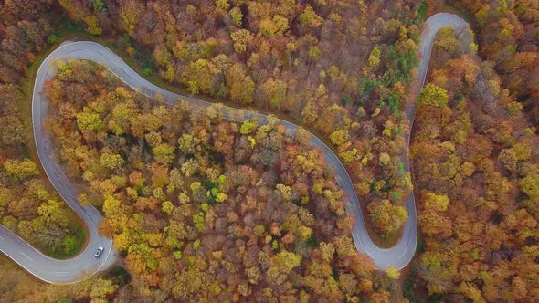 Aerial View Still Country Road in Autumn Forest