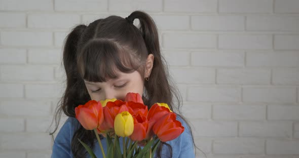 Tulips for Children Party alt