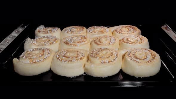 Timelapse  Twelve Cinnamon Buns Baking and Rising in Electric Oven at Home