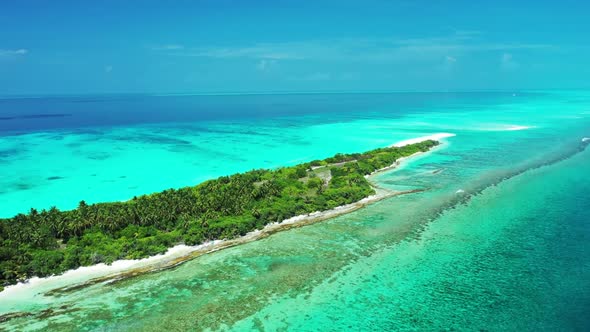 Aerial drone view nature of paradise tourist beach wildlife by shallow lagoon with clean sandy backg alt