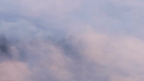 Fog Moving Over Forest alt