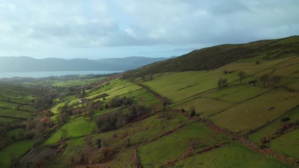 Scenic Irish countryside landscape alt